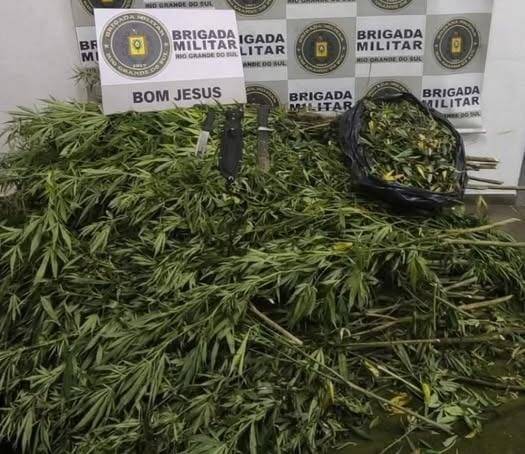 Ação do 10º BPM ocorreu após denúncia anônima e resultou na prisão em flagrante dos suspeitos na localidade de Capão do Tigre em Bom Jesus