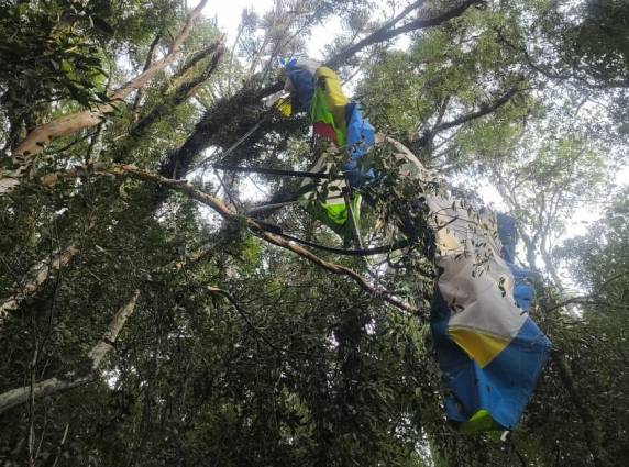 Aeronave caiu em área de vegetação após perda de controle; causas ainda são investigadas