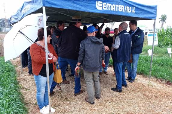 Atividades na Exporural reúnem agricultores e visitantes com foco em produção, conservação do solo, geração de renda e qualidade de vida no campo.