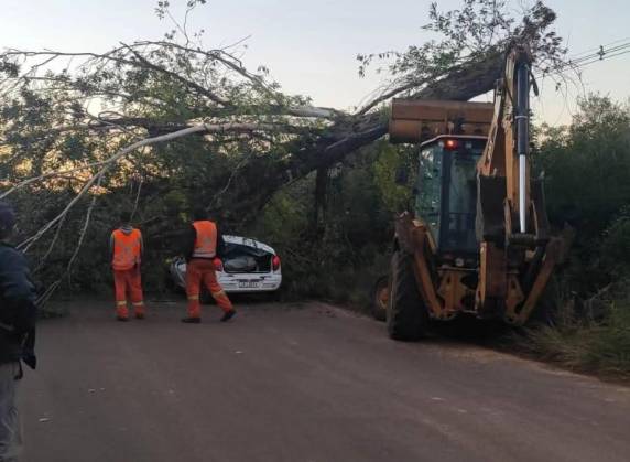 Acidente ocorreu no trecho entre Candelária e Rio Pardo; vítima estava em um Celta branco atingido por árvore de grande porte